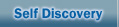 Self Discovery